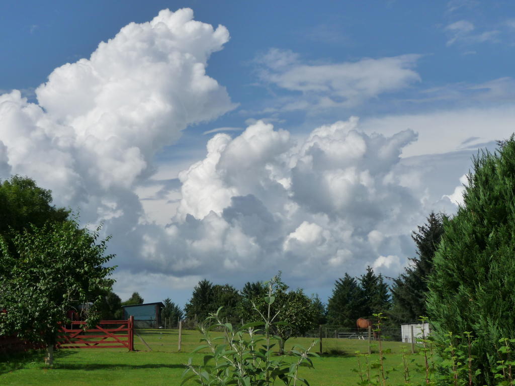 Ordieview Bed & Breakfast Luncarty Zewnętrze zdjęcie